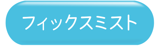 【フィックスミスト】