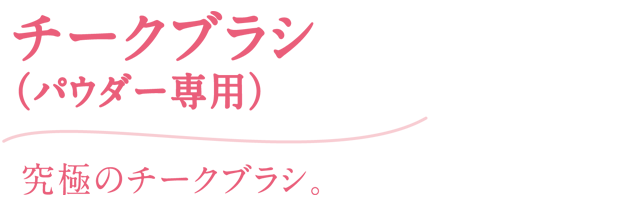 究極のチークブラシ